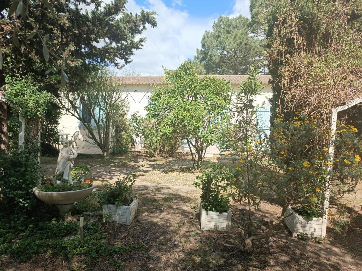 mas des pins Bed and Breakfast Saint-Cyprien  Exterior foto